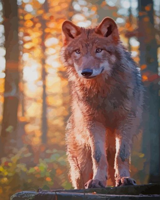 Beautiful Wolf paint by numbers