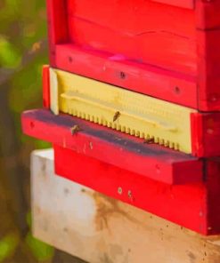 Bees In A Red Box paint by numbers