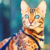 Bengal Cat paint by numbers