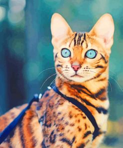 Bengal Cat paint by numbers