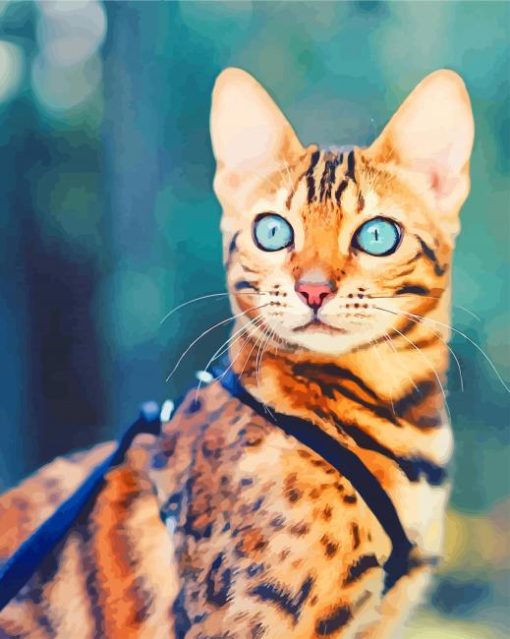 Bengal Cat paint by numbers