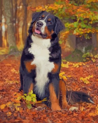 Bernese Mountain Dog fall paint by numbers