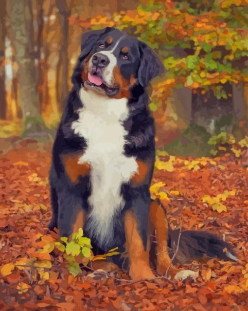 Bernese Mountain Dog fall paint by numbers