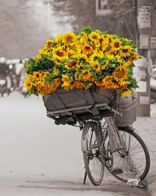 Bicycle And Sunflowers paint By numbers