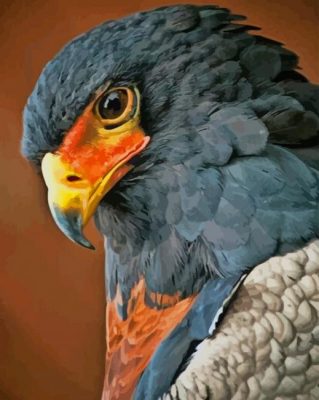 Birds Of Prey Up Close paint by numbers