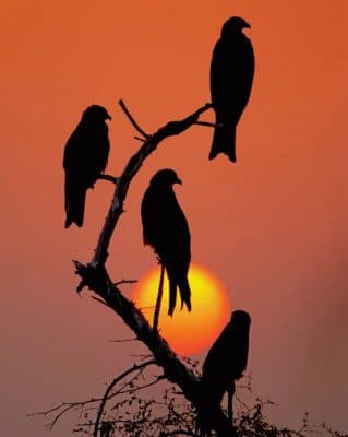 black birds at sunset paint by number