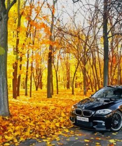 Black Bmw In Forest paint by number