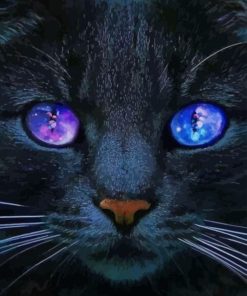 Black Cat With Space Eyes paint by number