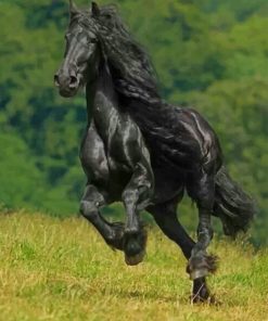 Black Horse Running paint by numbers