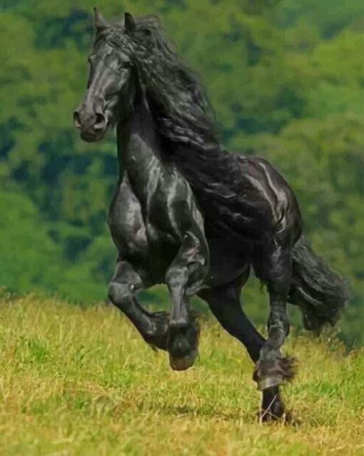 Black Horse Running paint by numbers