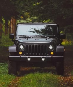 Black Jeep paint by numbers