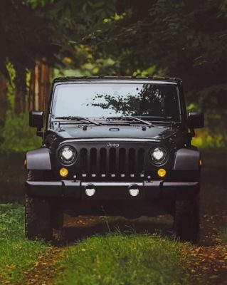 Black Jeep paint by numbers