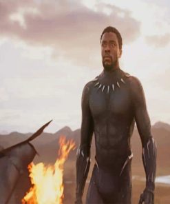 Black Panther Chadwick paint by number