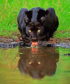 Black Panther in karnataka paint by numbers