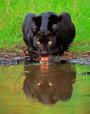 Black Panther in karnataka paint by numbers