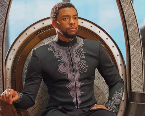 Black Panther Paint By Numbers