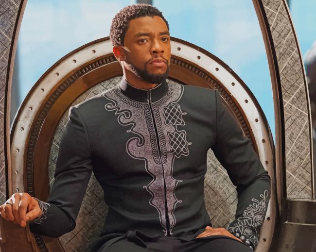 Black Panther Paint By Numbers