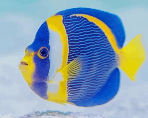 Blue And Yellow Aquarium paint by number Fish