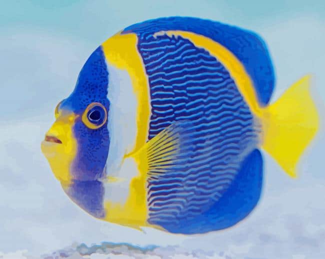 Blue And Yellow Aquarium paint by number Fish