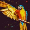 Blue And Yellow Macaw paint by number