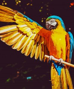 Blue And Yellow Macaw paint by number