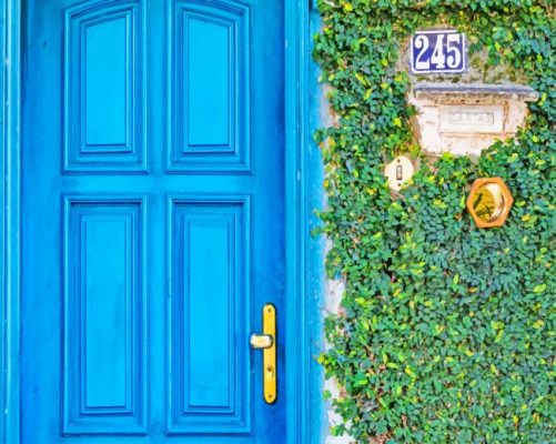 Blue Door Green Wall paint by numbers
