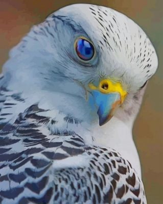 Blue Eyed Peregrine Falcon paint by numbers