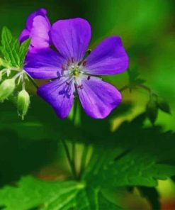 blue forest flower paint by number