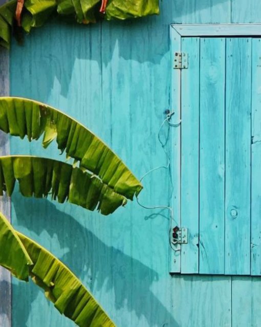 Blue House And Banana Tree paint by numbers