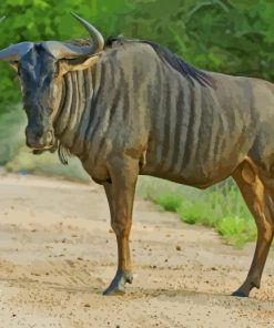 Blue Wildebeest paint by numbers