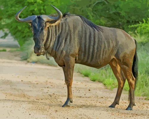 Blue Wildebeest paint by numbers