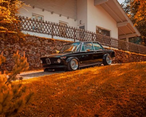 BMW In Front Of The House paint by numbers