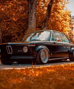 Black Classic BMW paint by numbers