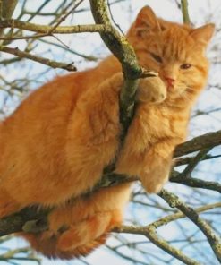 Bored Cat On The Tree paint by numbers