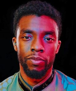 Boseman Chadwick Paint by numbers