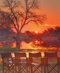 Botswana Safari Sunset paint by numbers