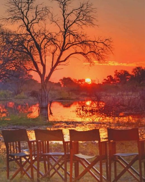 Botswana Safari Sunset paint by numbers