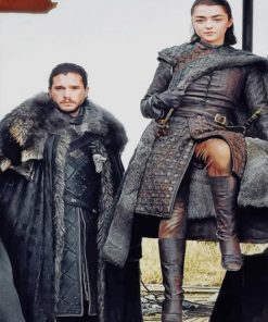 Brothers Arya and Jon Snow paint by numbers