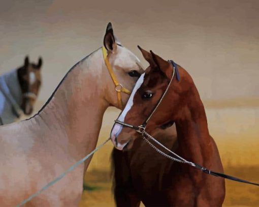 Brown And Grey Horse paint by numbers