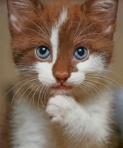 Brown And White Cat paint by numbers