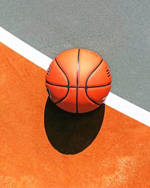 Basket Ball Court painting by numbers