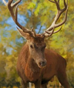 Brown Deer paint by numbers