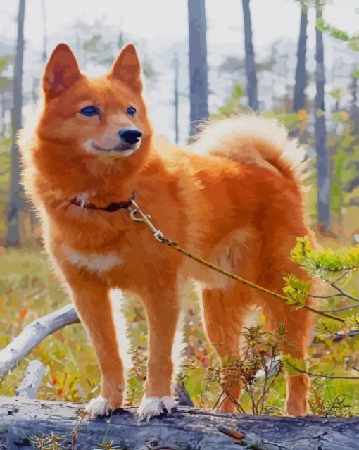 Beautiful Orange Dog paint by numbers