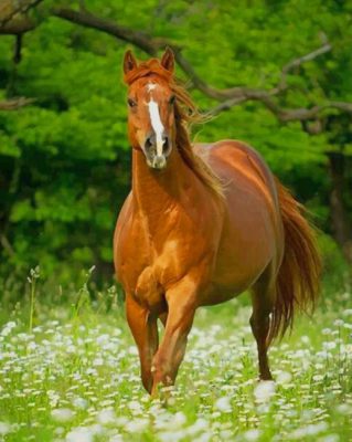 Brown Horses And Flowers paint by numbers