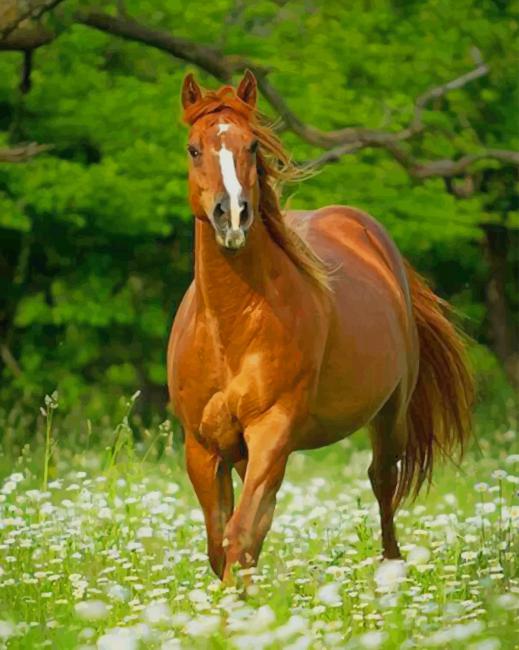Brown Horses And Flowers paint by numbers