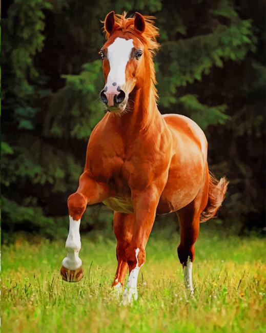 brown horse paint by numbers