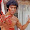 Bruce Lee Paint By Numbers