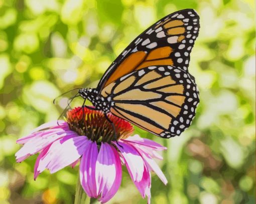 Butterfly on a Flower paint by numbers