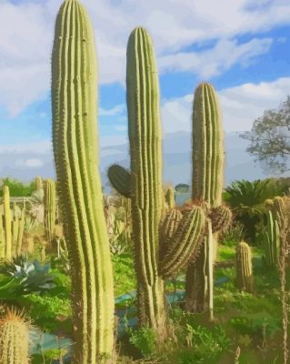 Cactus Plants paint by numbers