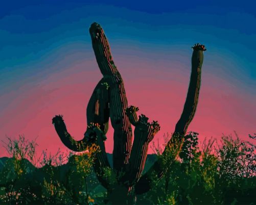 Cactus Silhouette paint by numbers